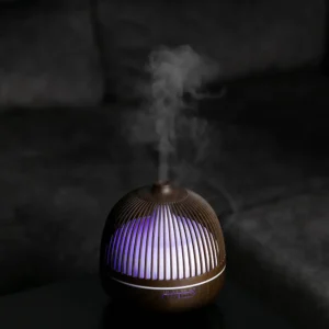 Oro drėkintuvas - Sniegas lesyklėlėj - Image 12