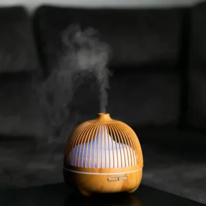 Oro drėkintuvas - Sniegas lesyklėlėj - Image 11