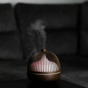 Oro drėkintuvas - Sniegas lesyklėlėj - Image 14