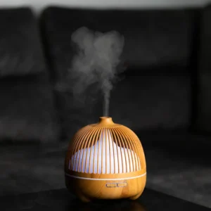 Oro drėkintuvas - Sniegas lesyklėlėj - Image 4