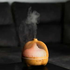 Oro drėkintuvas - Sniegas lesyklėlėj - Image 5