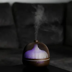 Oro drėkintuvas - Sniegas lesyklėlėj - Image 15