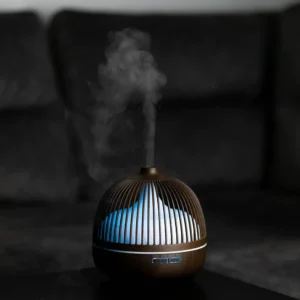 Oro drėkintuvas - Sniegas lesyklėlėj - Image 17