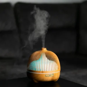 Oro drėkintuvas - Sniegas lesyklėlėj - Image 10