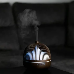 Oro drėkintuvas - Sniegas lesyklėlėj - Image 20