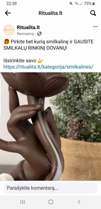 Image #1 from Ilona Demeniene